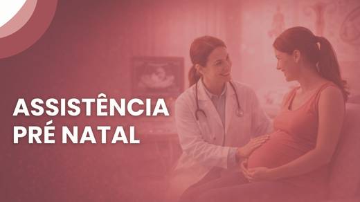 Assistência Pré Natal
