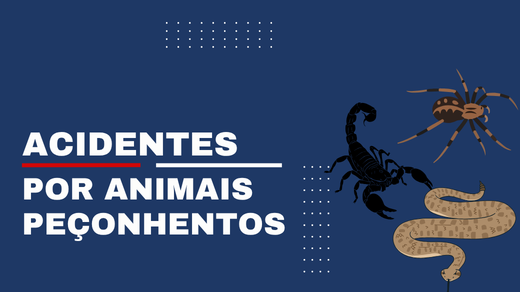 Acidentes por animais peçonhentos
