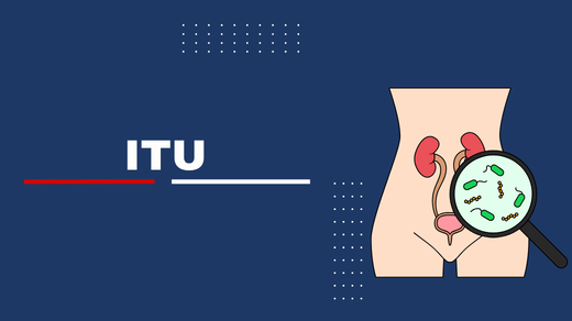 Anatomia e infecção do trato urinário