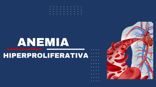 Anemia hiperproliferativa