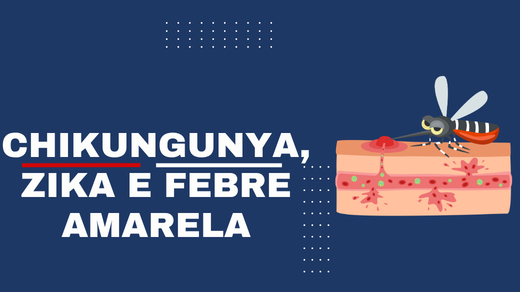 Chikungunya, zika e febre amarela
