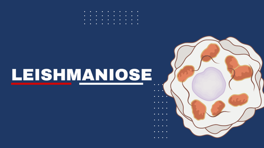 Leishmaniose