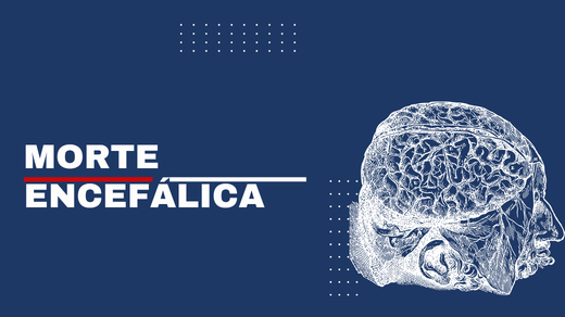 Morte Encefálica