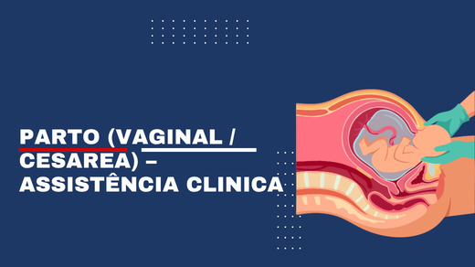 Parto (Vaginal / Cesarea) – Assistência Clinica