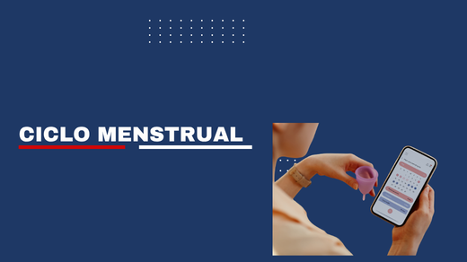 Ciclo Menstrual